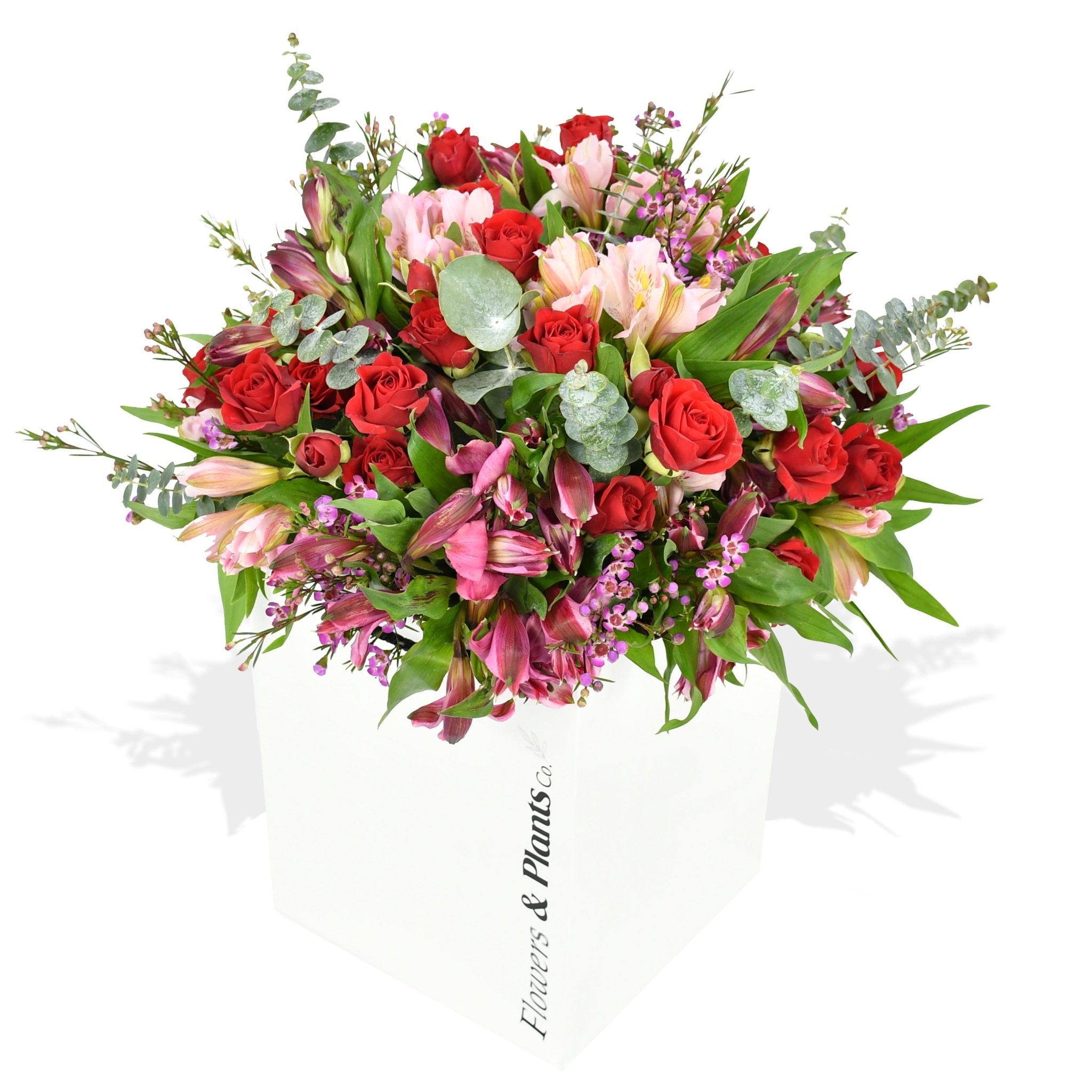Dream Girl - Flowers &amp; Plants Co