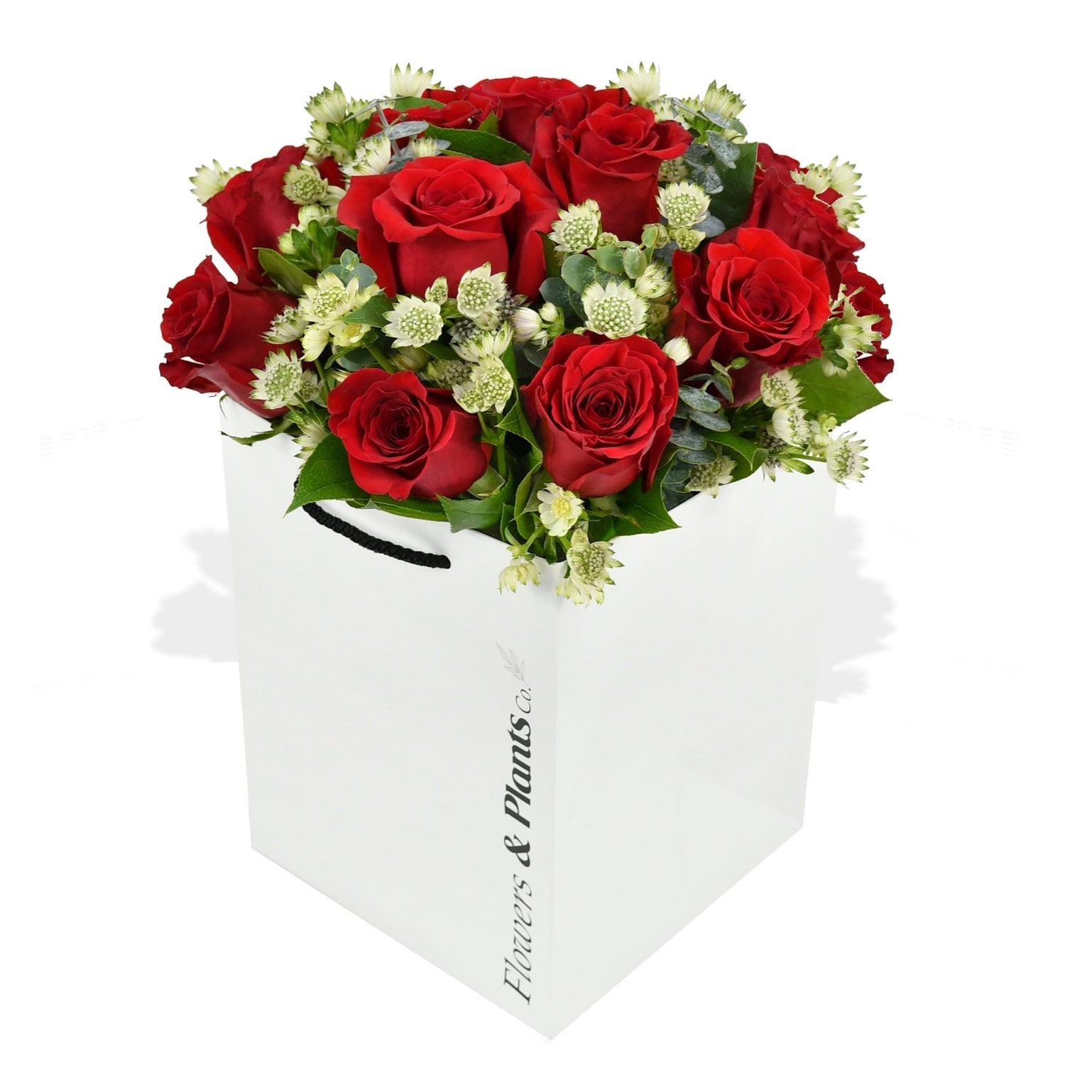 Elixir of Love - Flowers &amp; Plants Co