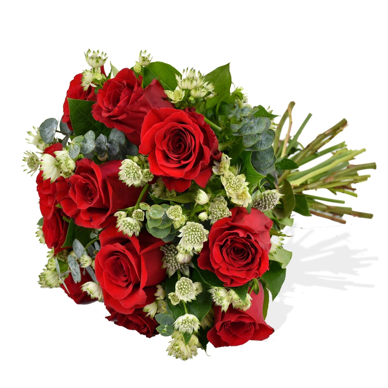 Elixir of Love - Flowers &amp; Plants Co