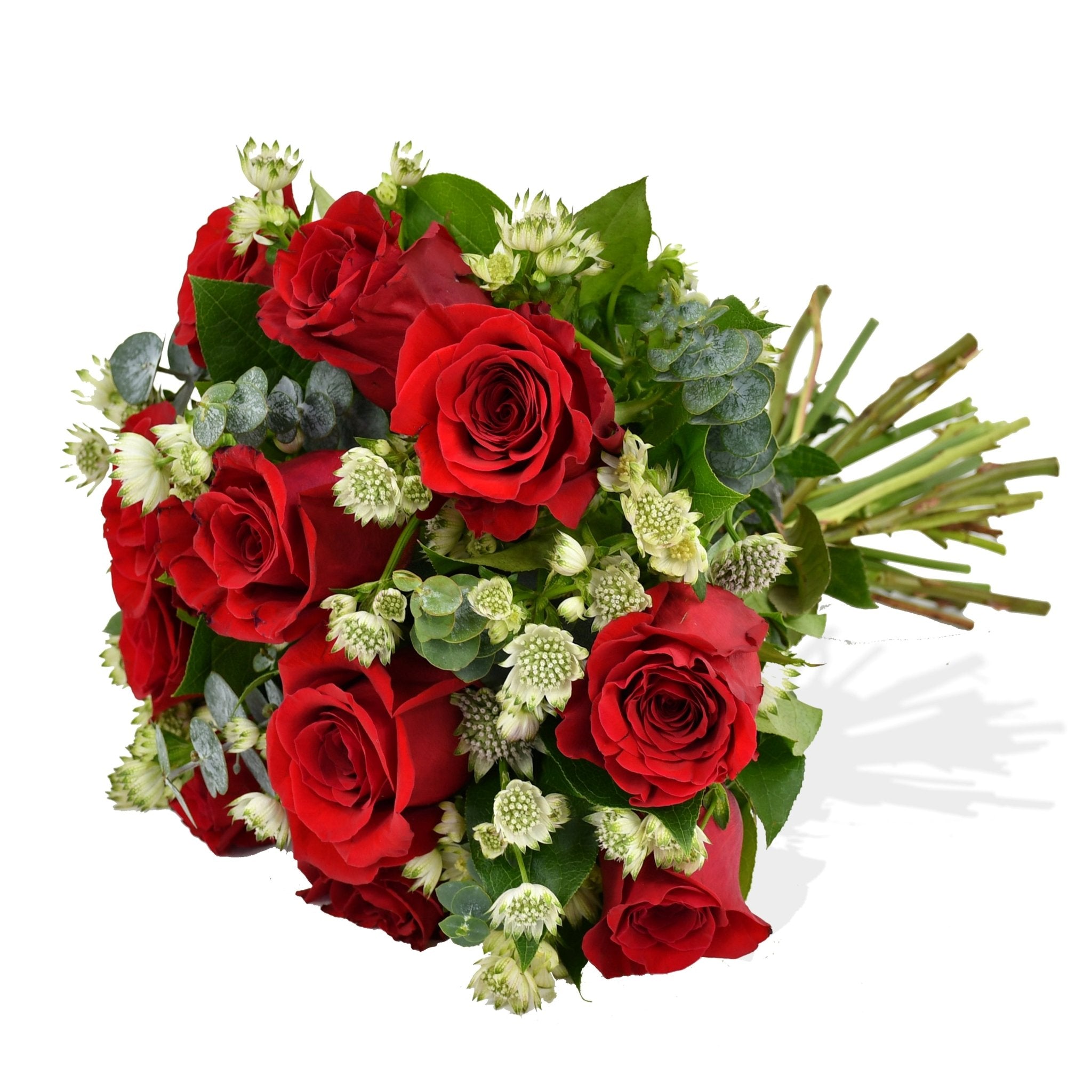 Elixir of Love - Flowers &amp; Plants Co