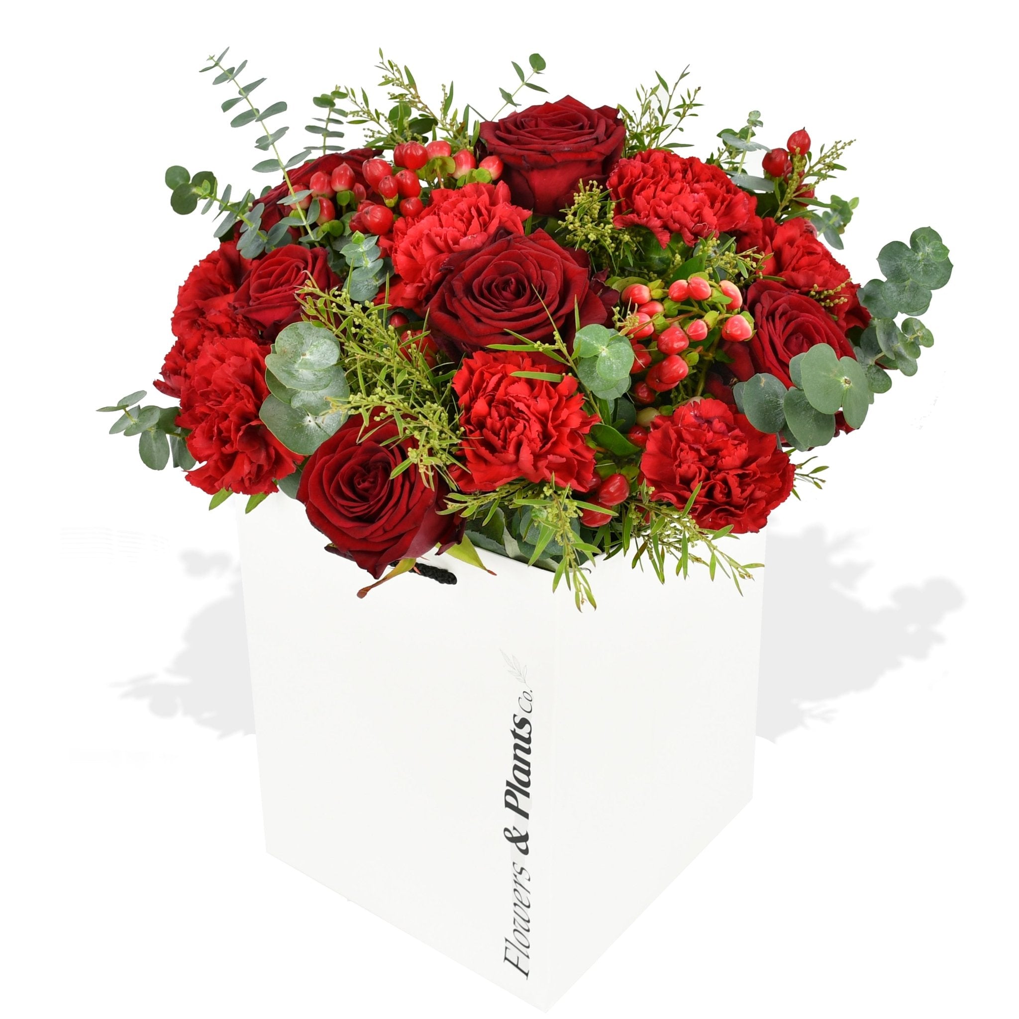 Festive Reds - Flowers &amp; Plants Co