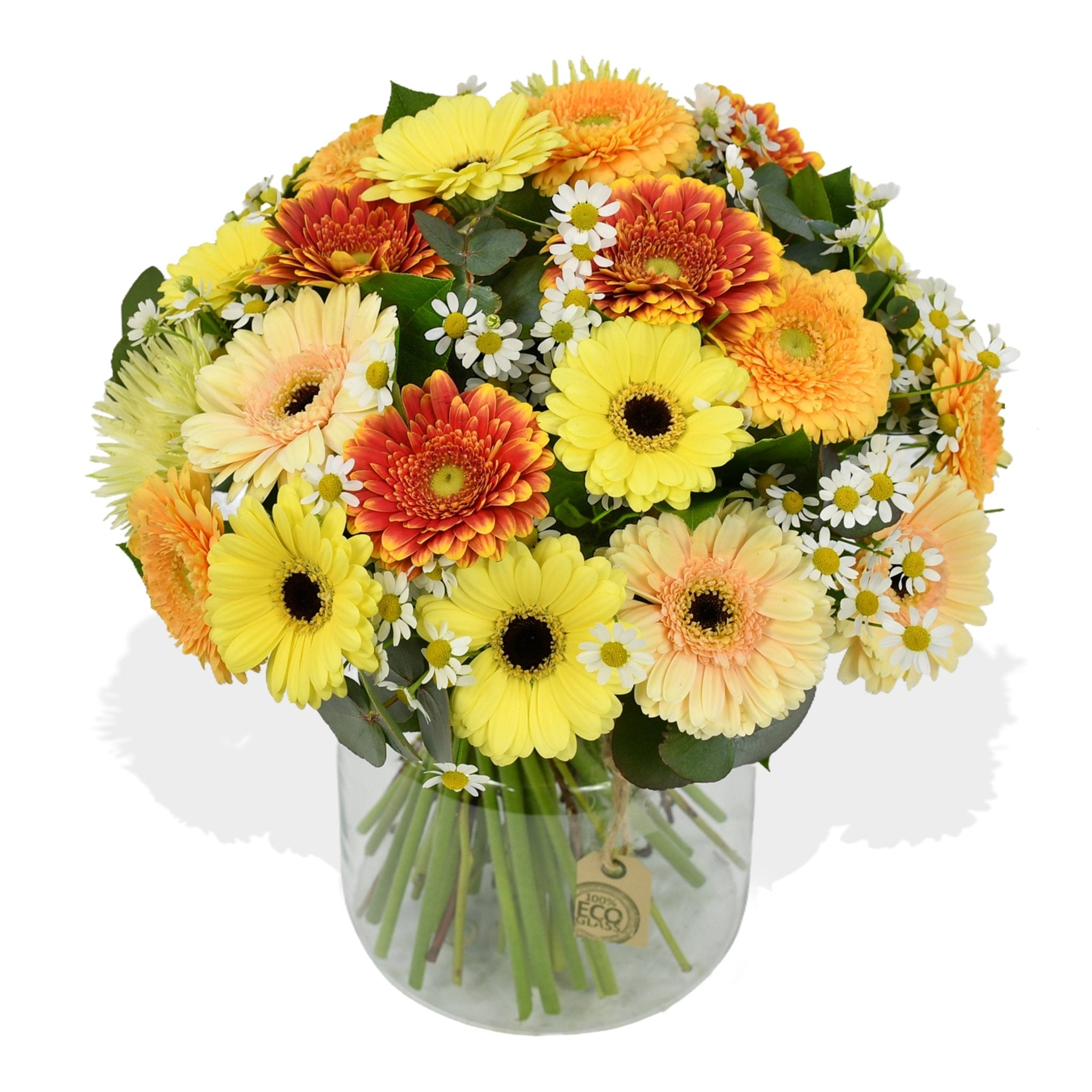Gerbera Mix - Flowers &amp; Plants Co