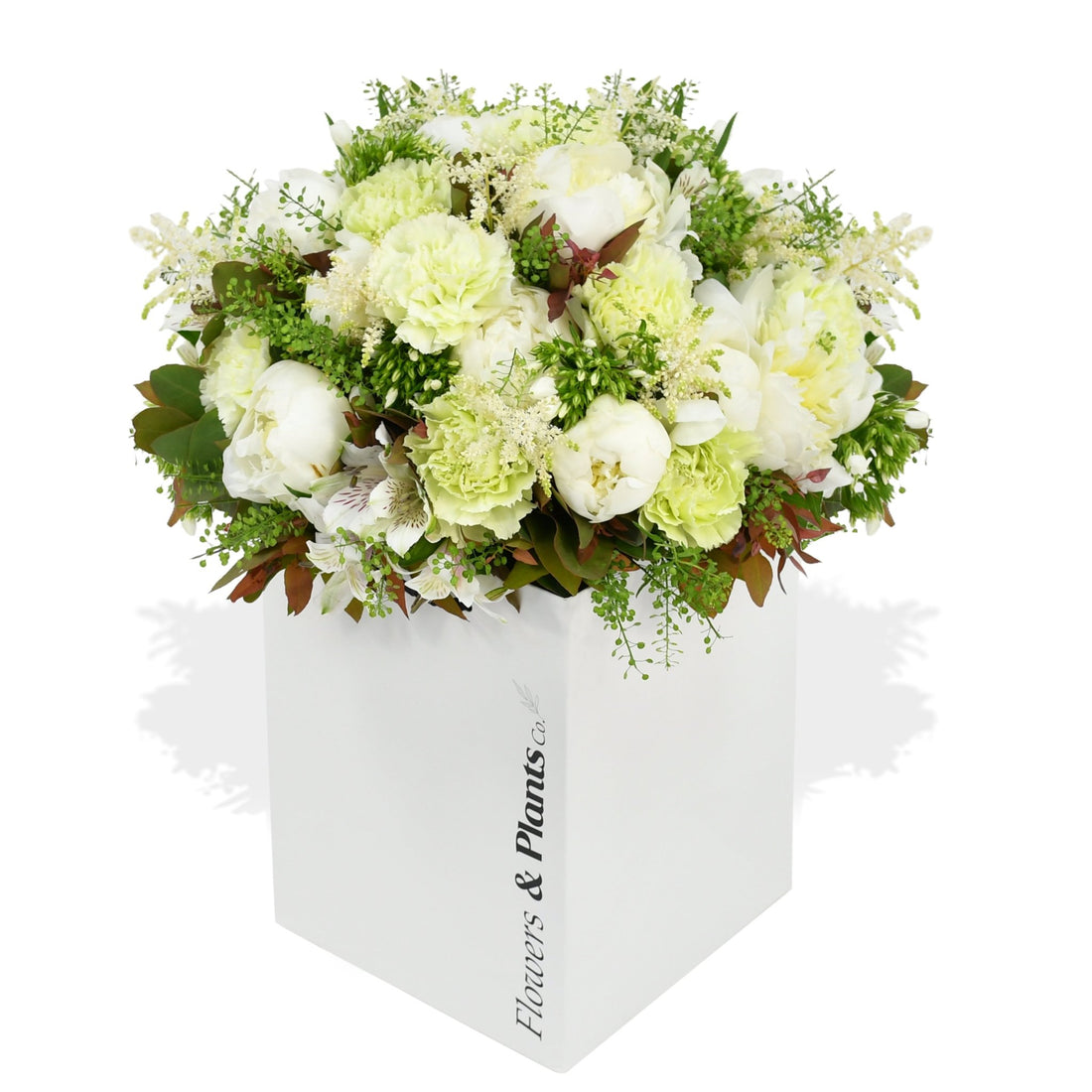 Heavenly Peonies - Flowers &amp; Plants Co