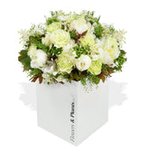 Heavenly Peonies - Flowers & Plants Co