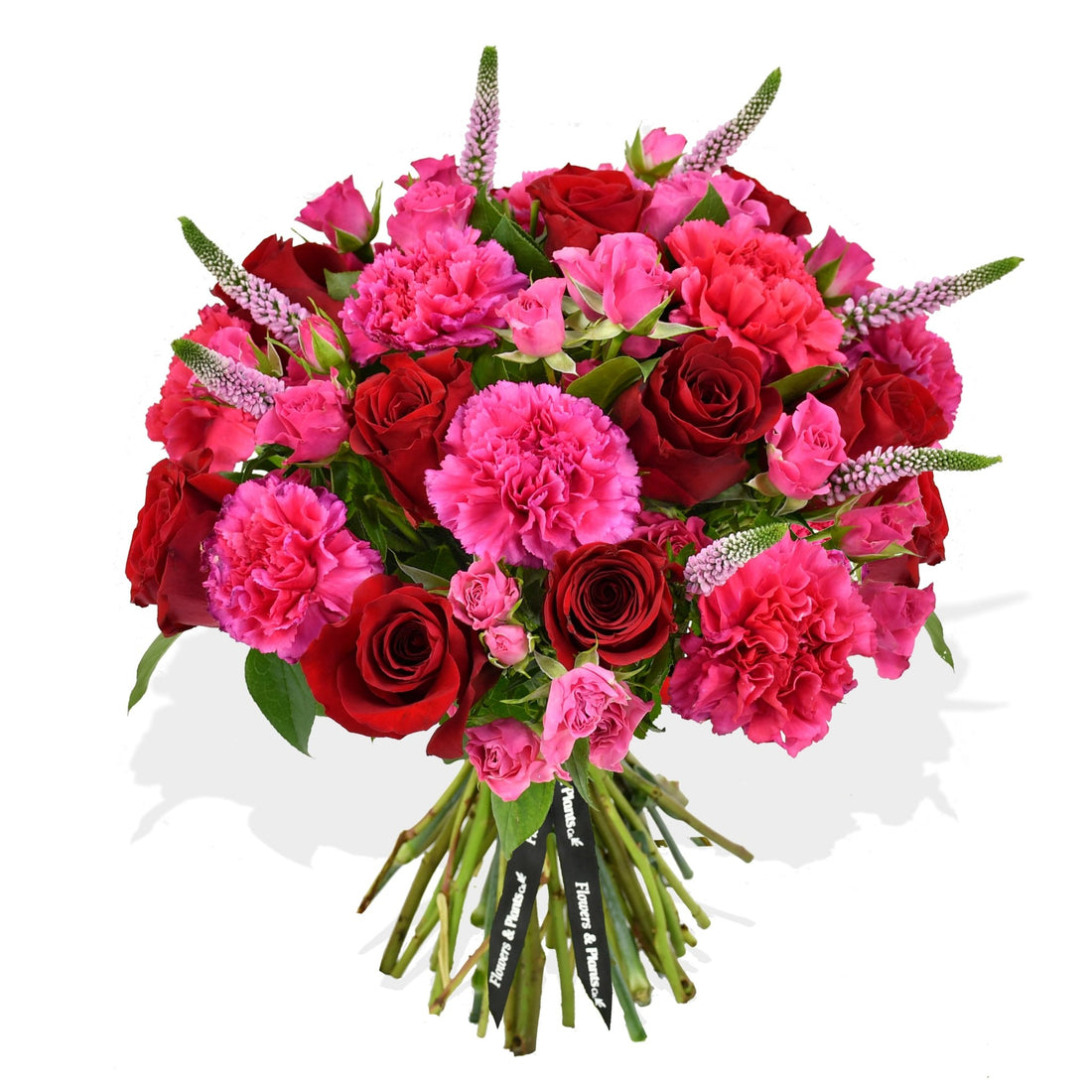 Hot Pinks - Flowers &amp; Plants Co