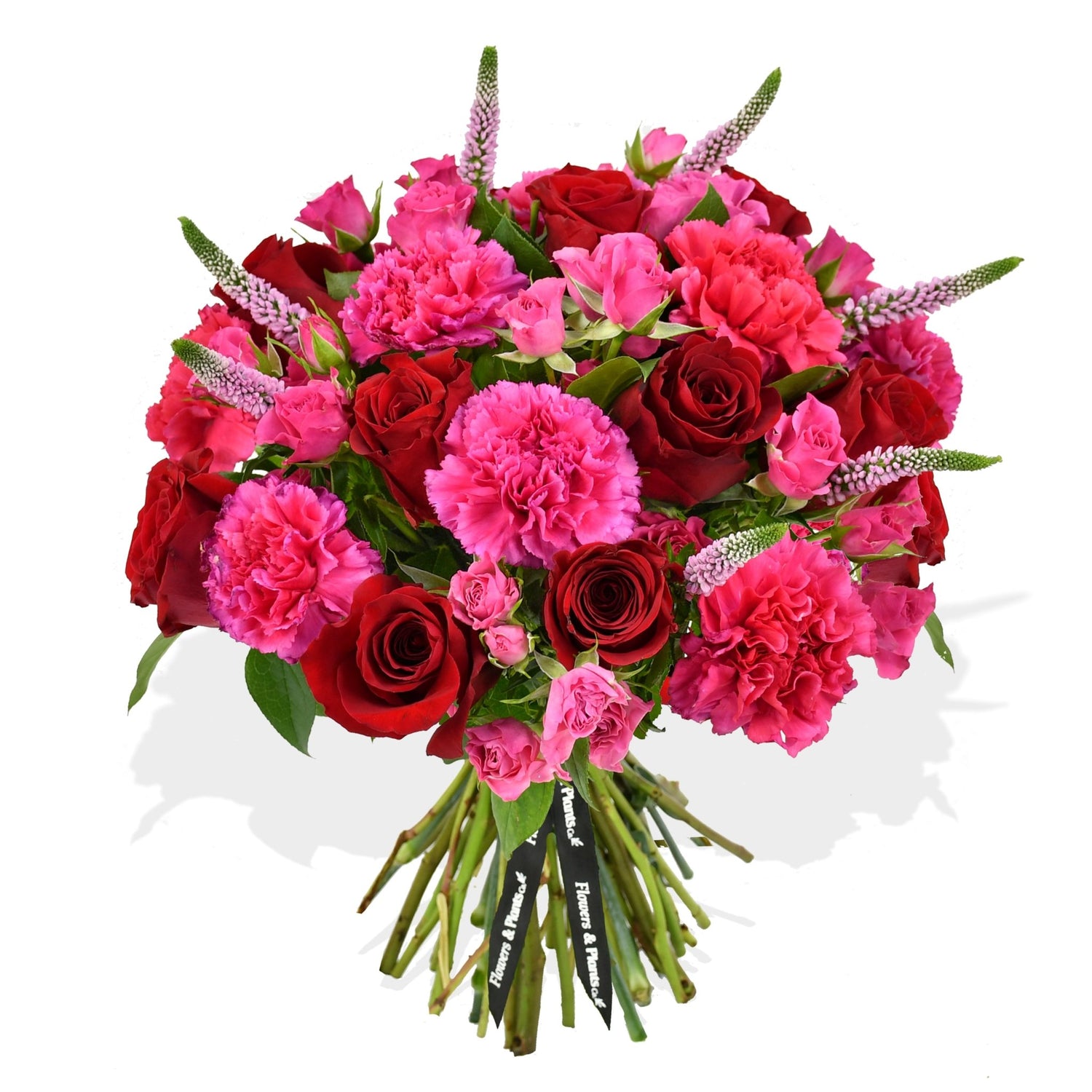 Hot Pinks - Flowers &amp; Plants Co
