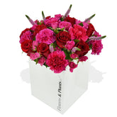 Hot Pinks - Flowers & Plants Co