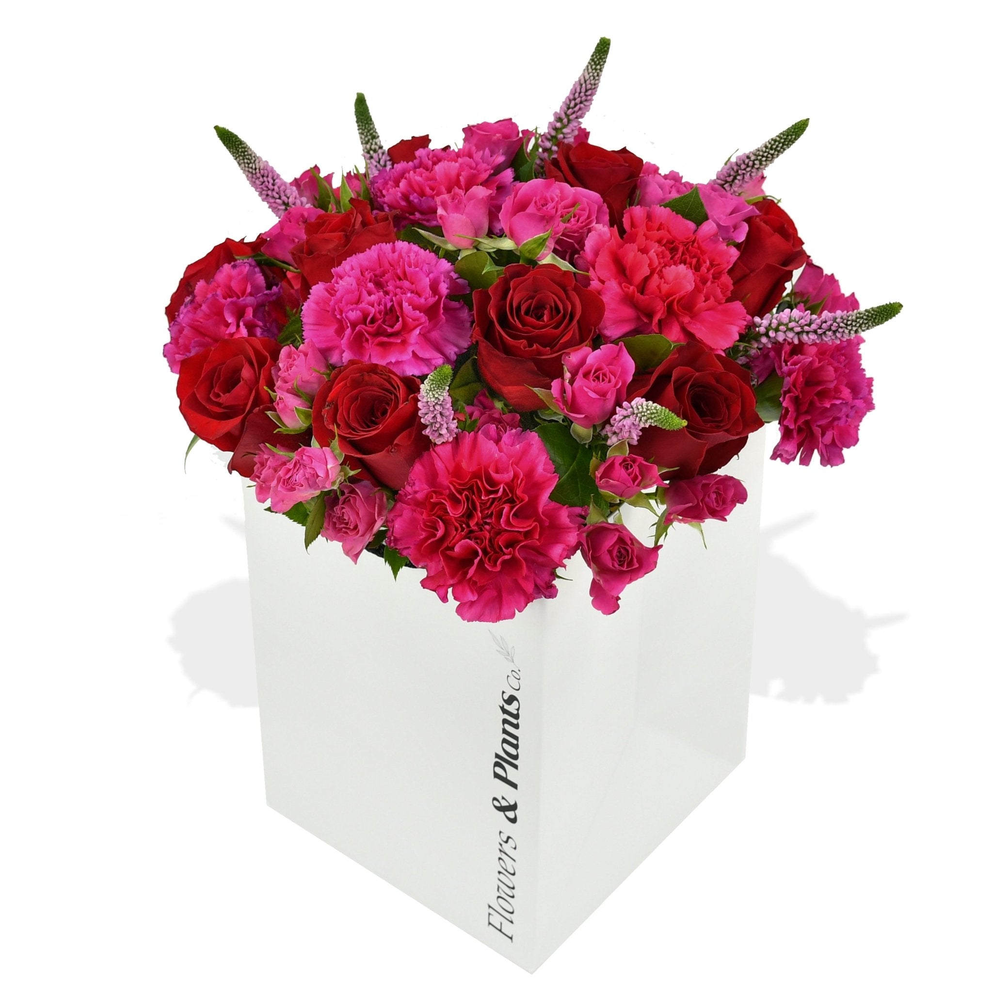 Hot Pinks - Flowers &amp; Plants Co