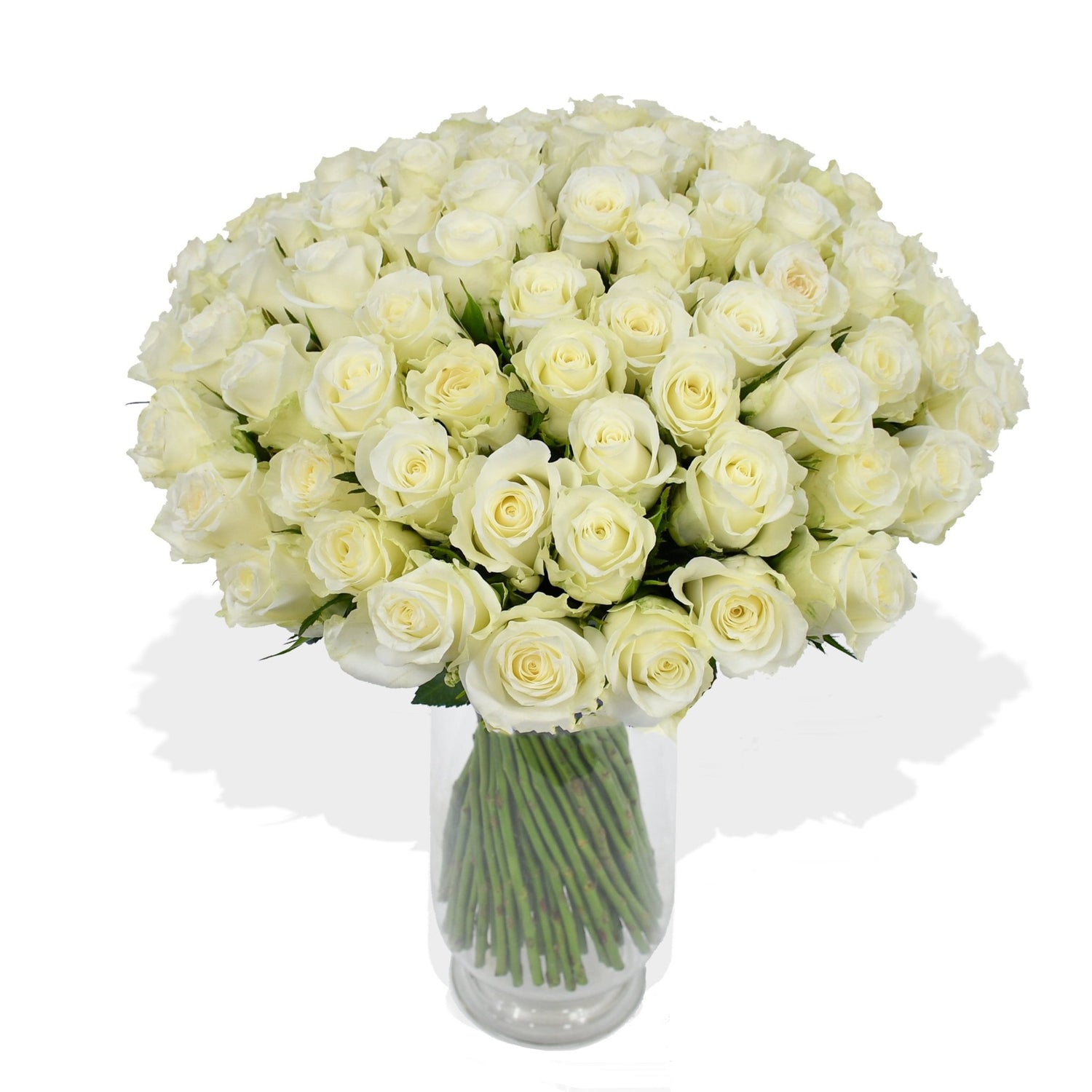 Mademoiselle - Flowers &amp; Plants Co