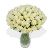 Mademoiselle - Flowers & Plants Co