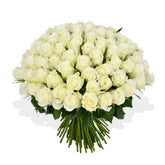 Mademoiselle - Flowers & Plants Co