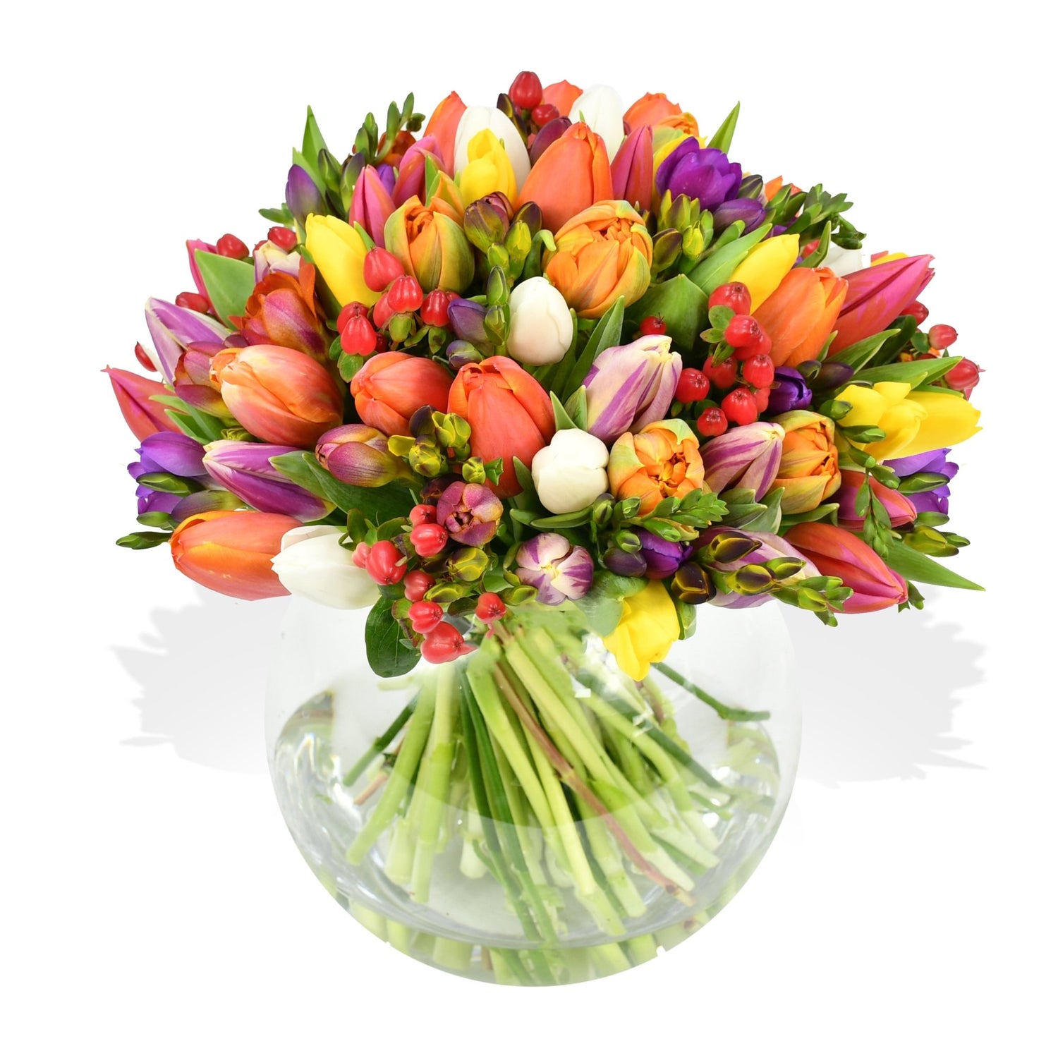 Mixed Tulips - Flowers &amp; Plants Co