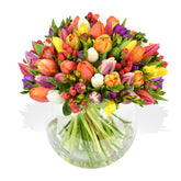 Mixed Tulips - Flowers & Plants Co