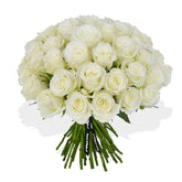 Momento - Flowers & Plants Co