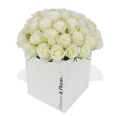 Momento - Flowers & Plants Co