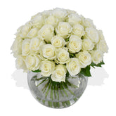 Momento - Flowers & Plants Co