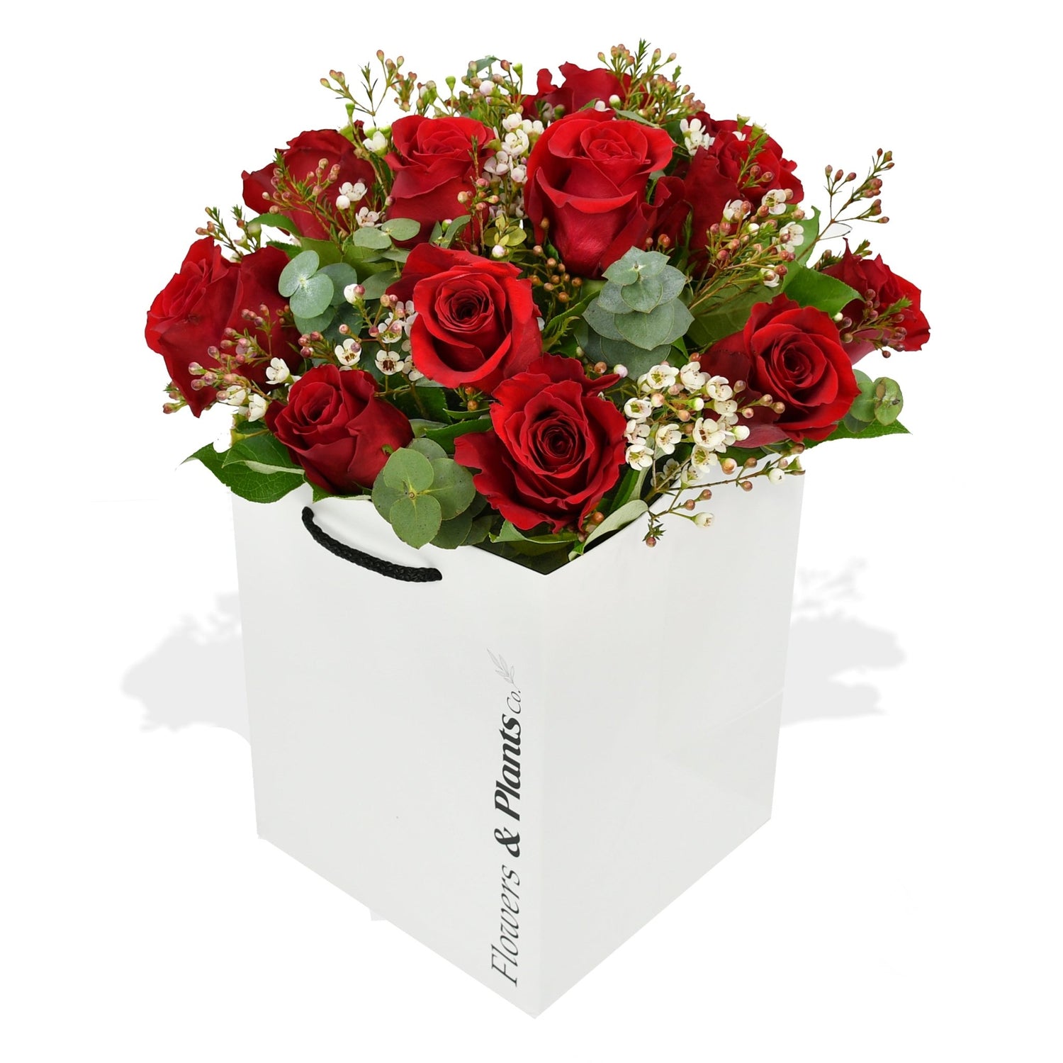 One More Chance - Flowers &amp; Plants Co