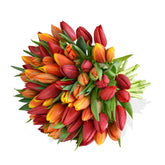 Orange Crush - Flowers & Plants Co