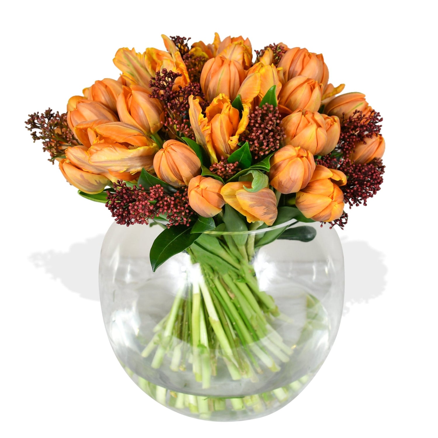 Parrot Tulip Plush - Flowers &amp; Plants Co