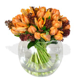 Parrot Tulip Plush - Flowers & Plants Co