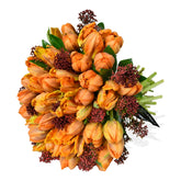 Parrot Tulip Plush - Flowers & Plants Co