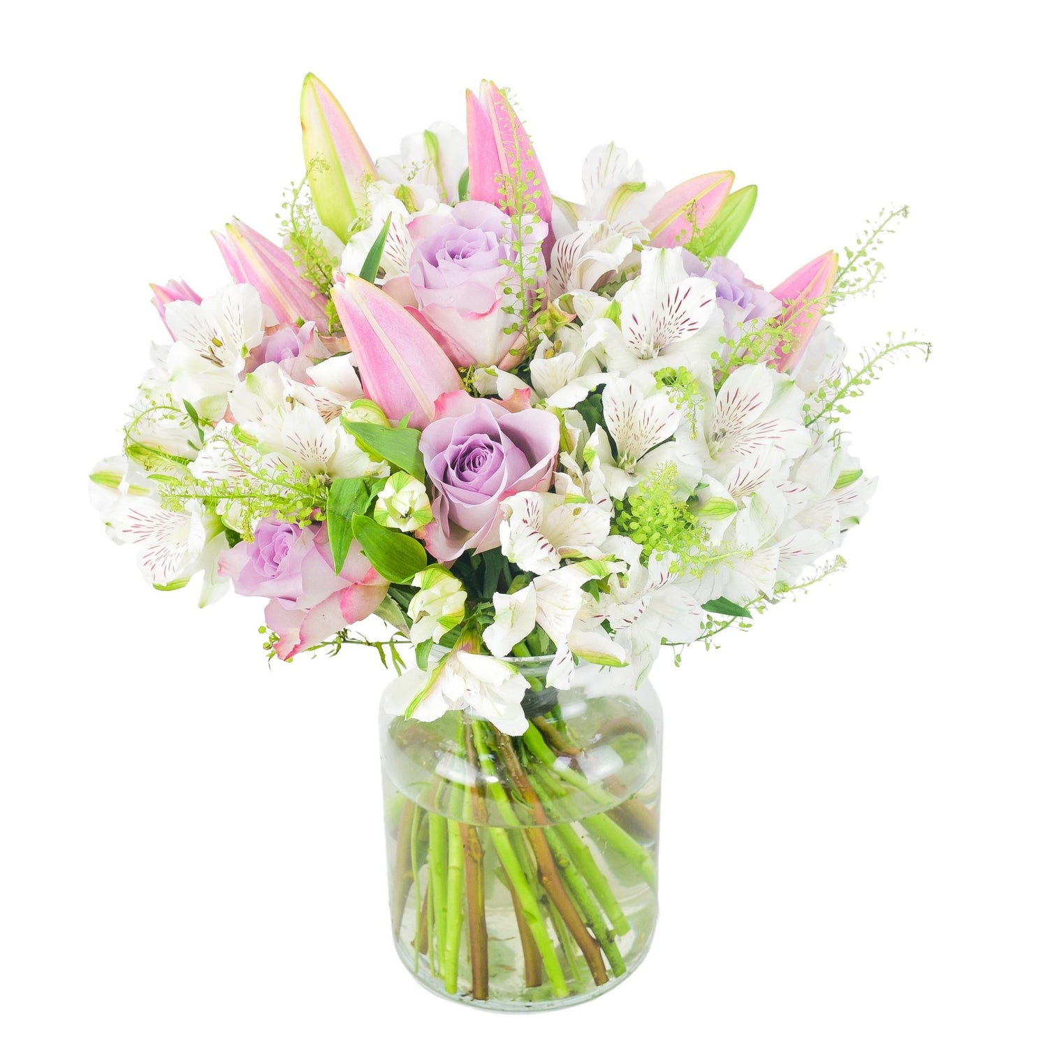 Pastel Plush - Flowers &amp; Plants Co