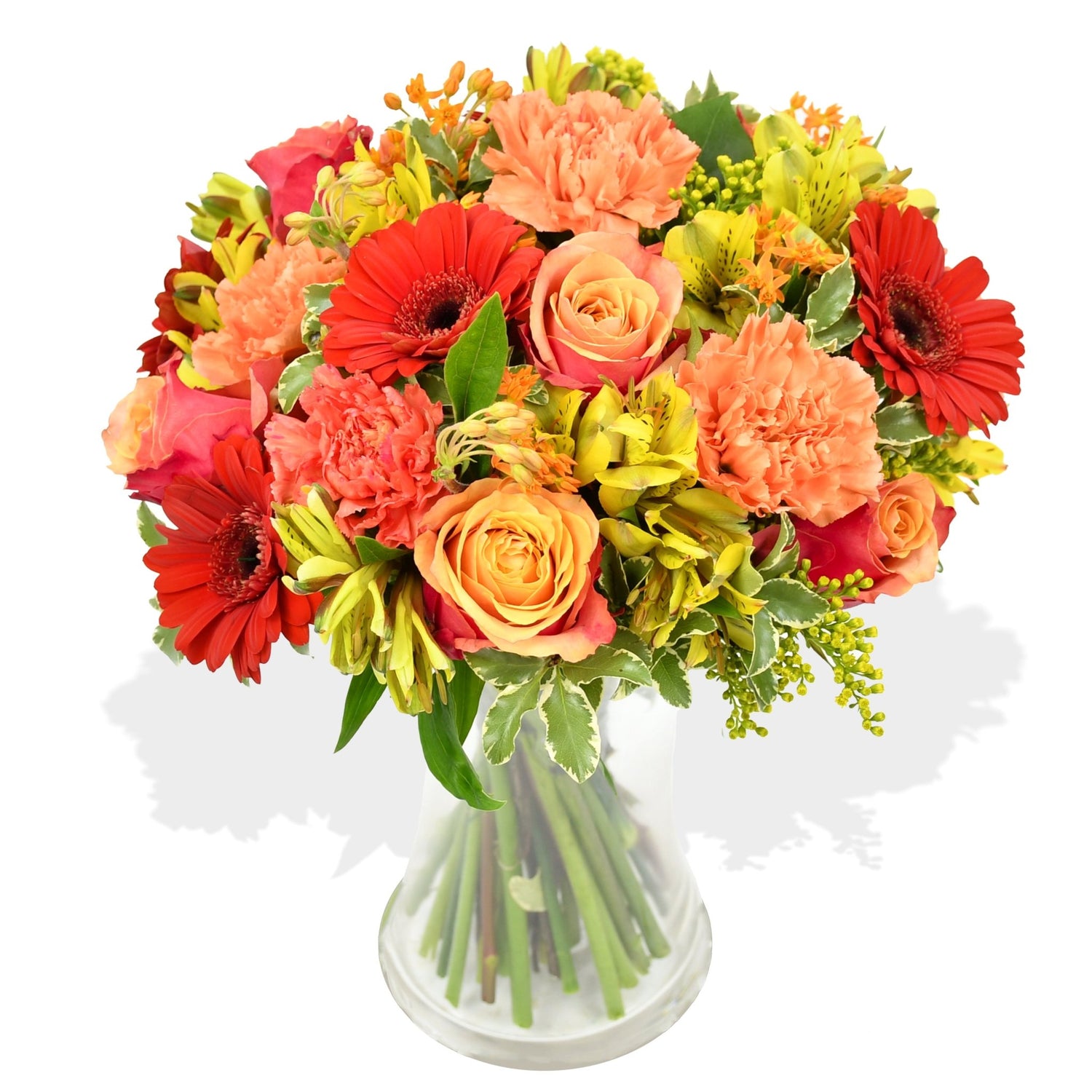 Peach Melba - Flowers &amp; Plants Co