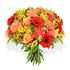 Peach Melba - Flowers & Plants Co
