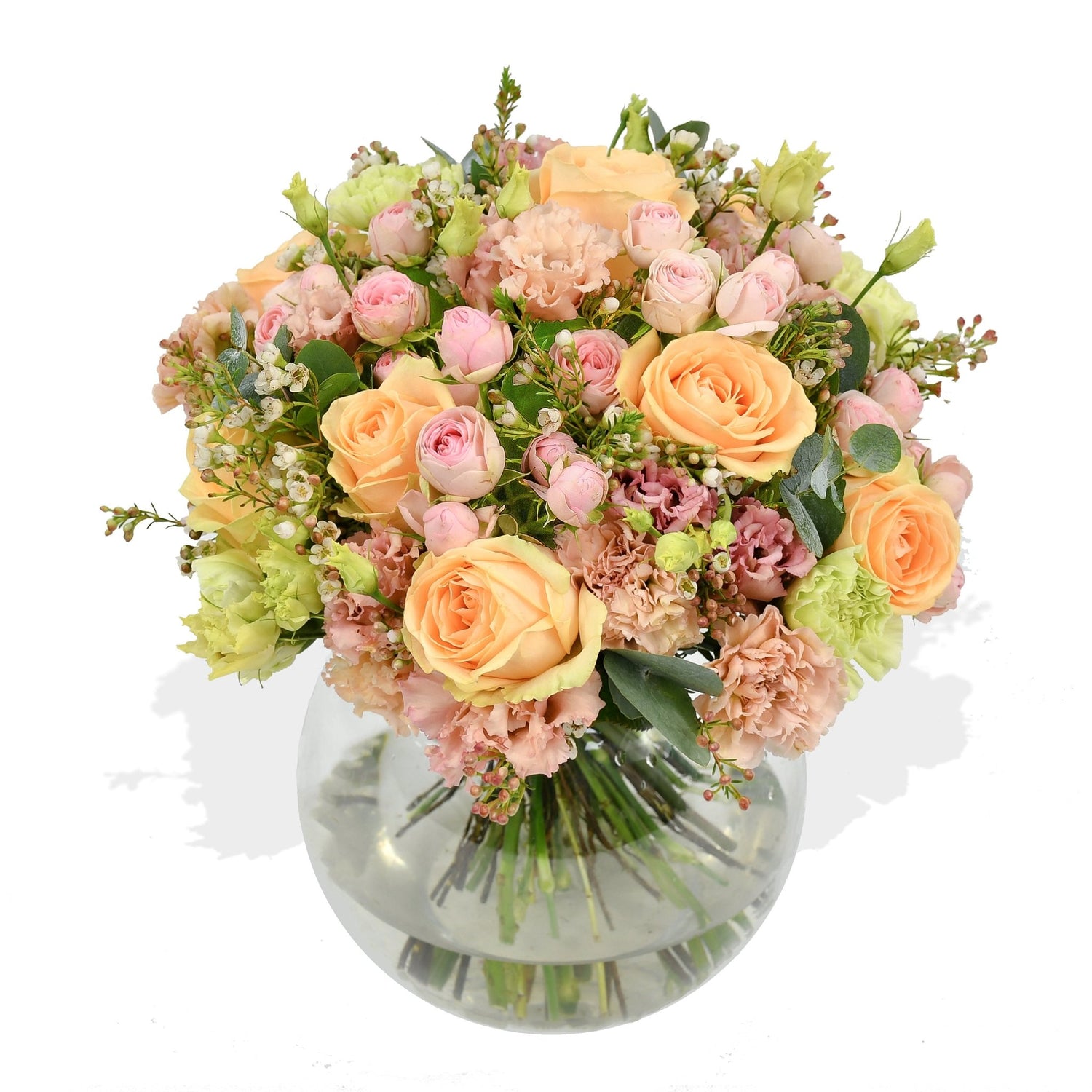 Peachy - Flowers &amp; Plants Co