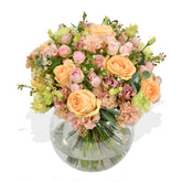 Peachy - Flowers & Plants Co