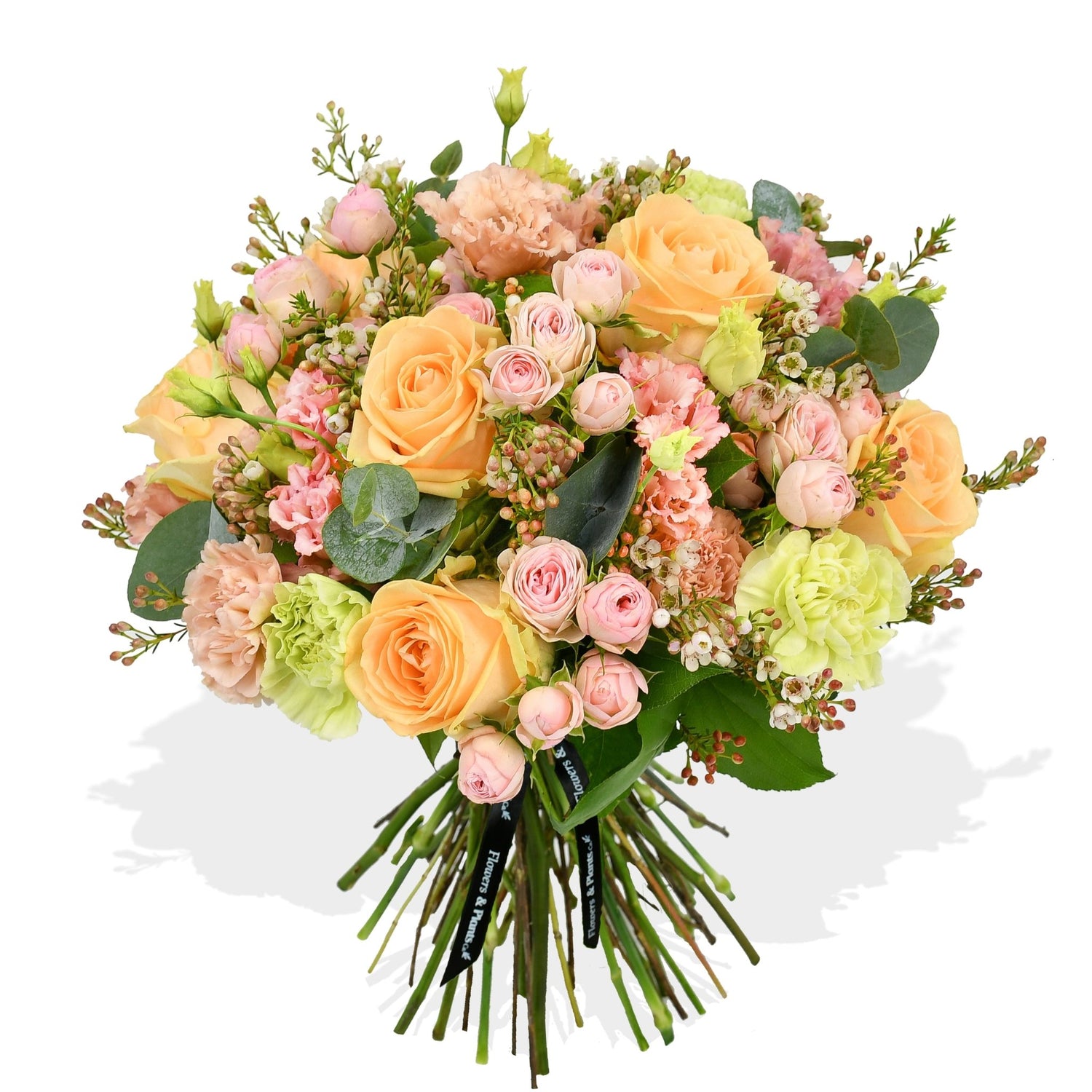 Peachy - Flowers &amp; Plants Co