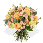 Peachy - Flowers & Plants Co