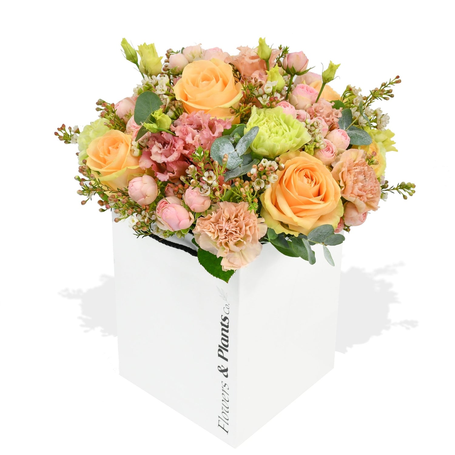 Peachy - Flowers &amp; Plants Co