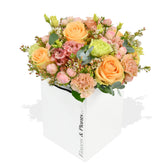 Peachy - Flowers & Plants Co