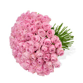 Pink Rose Passion - Flowers & Plants Co