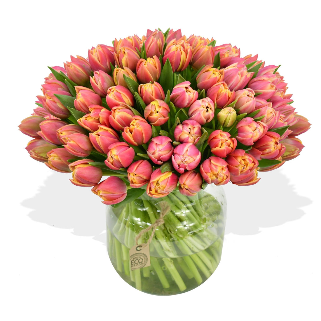 Pink Tulips - Flowers &amp; Plants Co