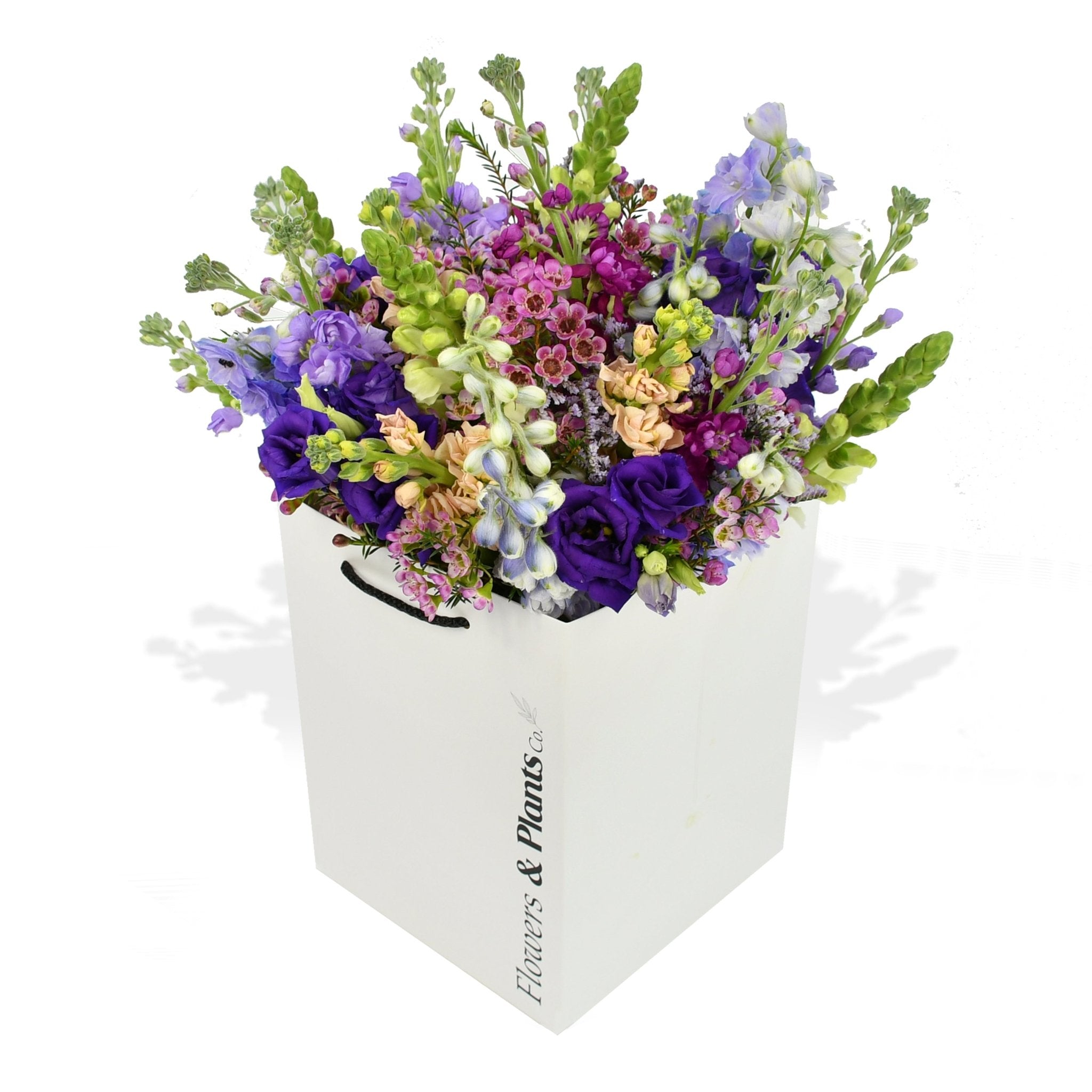 Purples - Flowers &amp; Plants Co