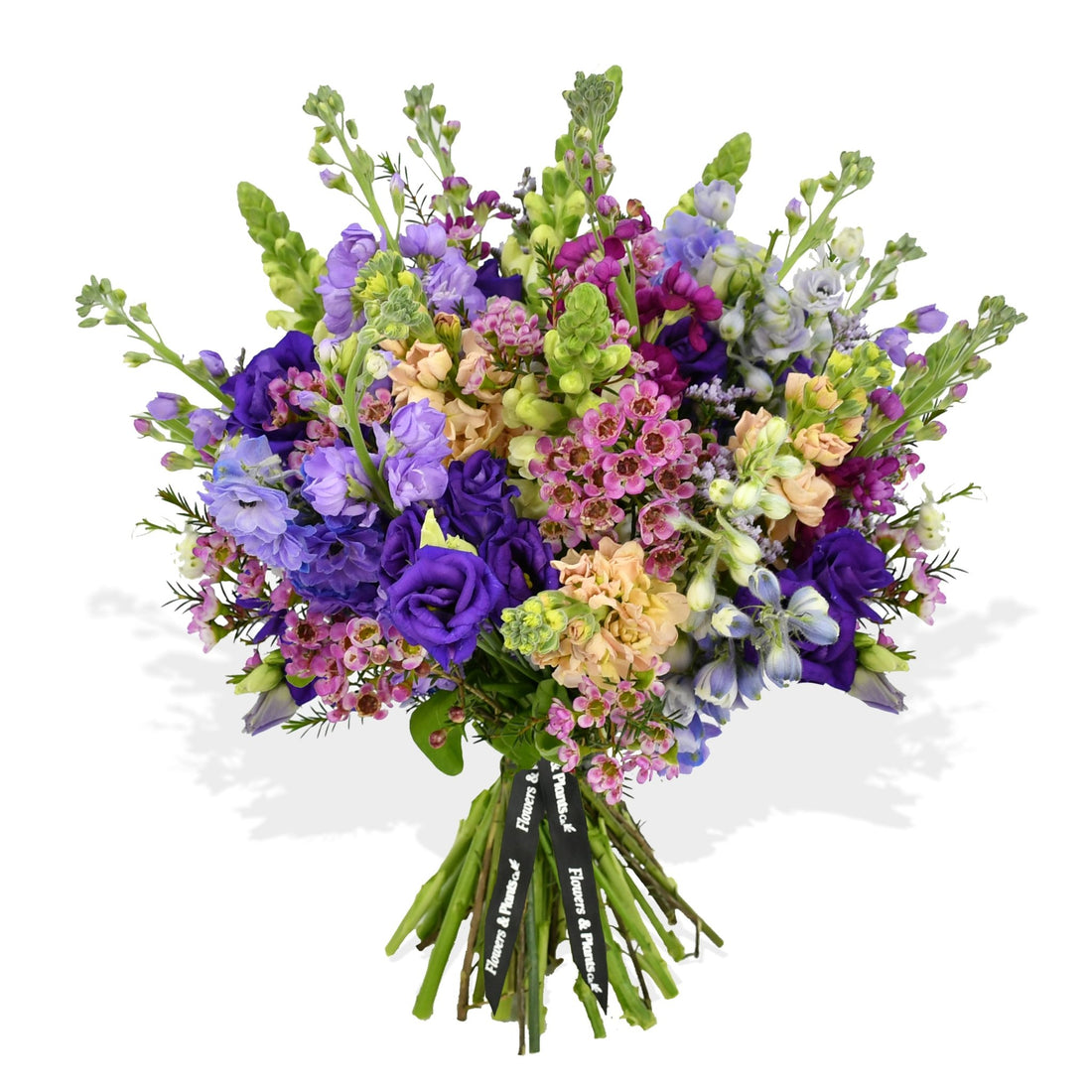 Purples - Flowers &amp; Plants Co