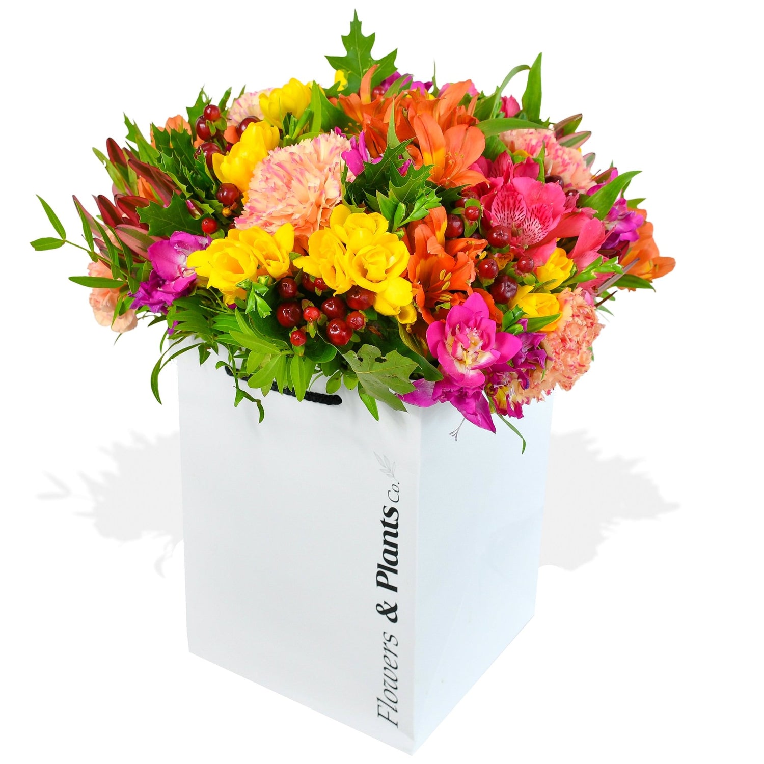 Rainbow Road - Flowers &amp; Plants Co