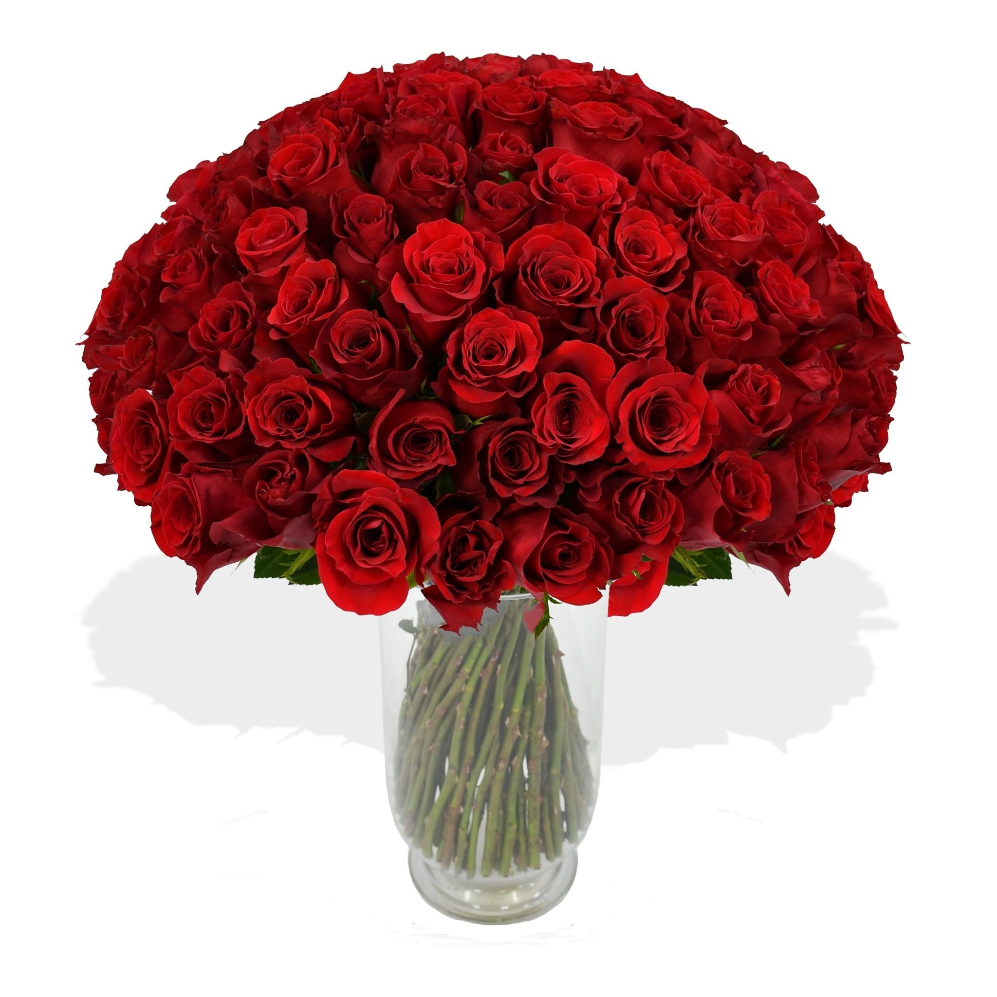 Red Velvet - Flowers &amp; Plants Co