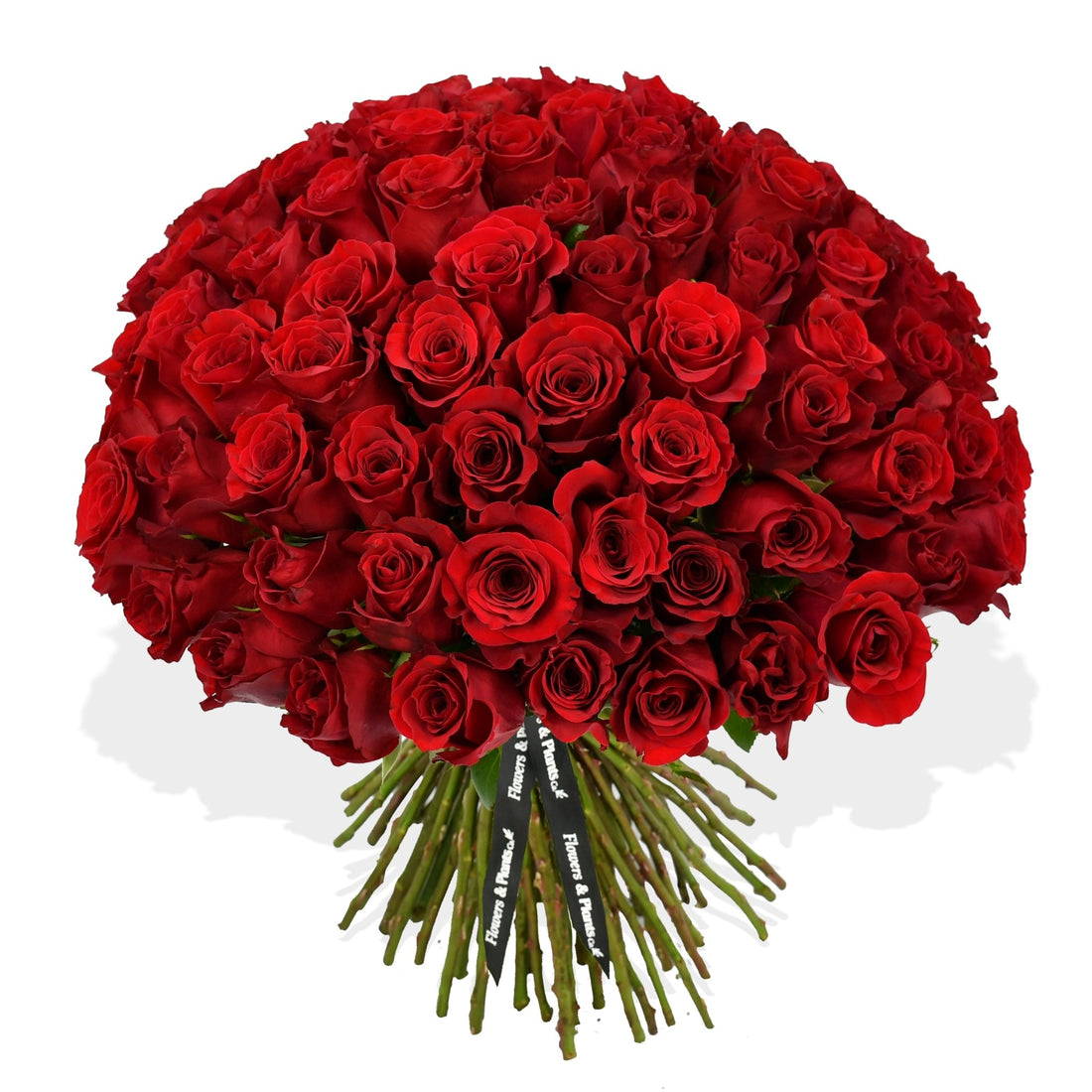 Red Velvet - Flowers &amp; Plants Co