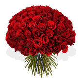 Red Velvet - Flowers & Plants Co