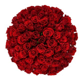 Red Velvet - Flowers & Plants Co