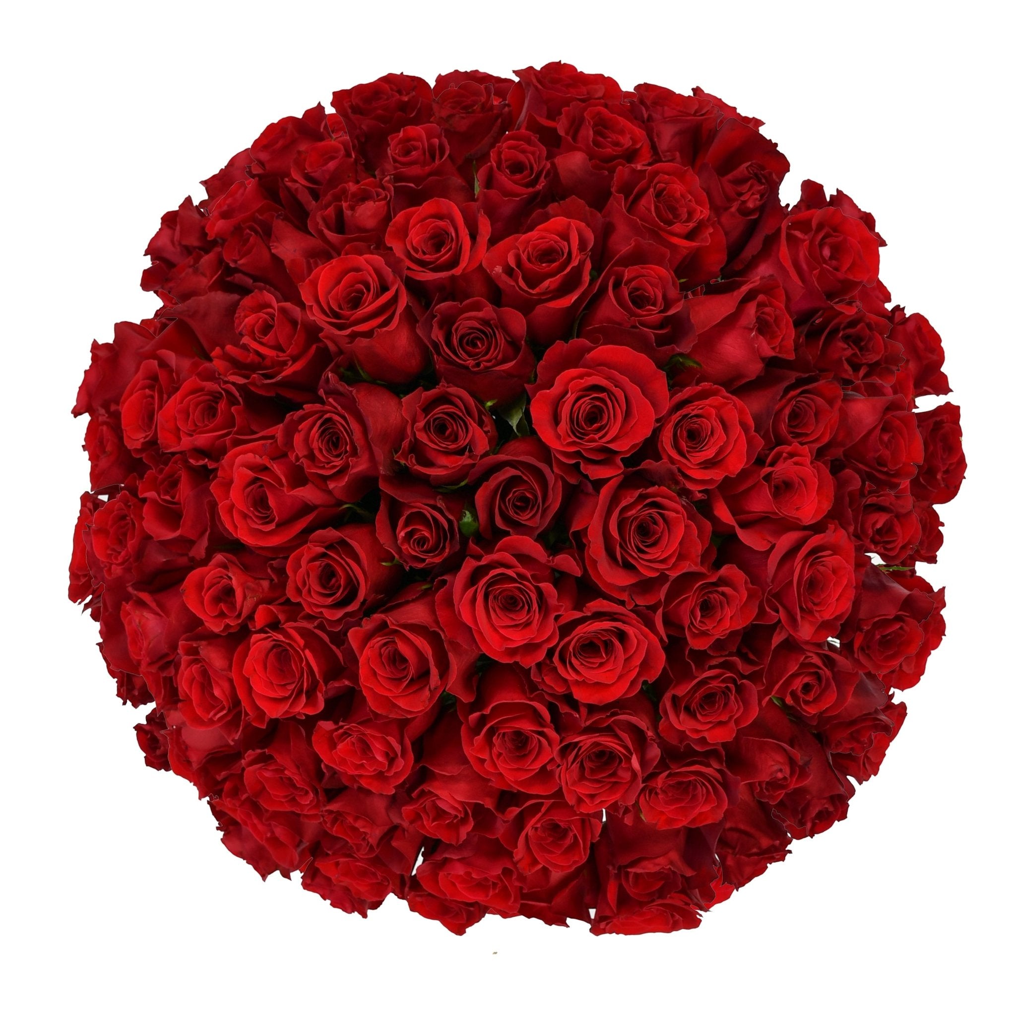 Red Velvet - Flowers &amp; Plants Co