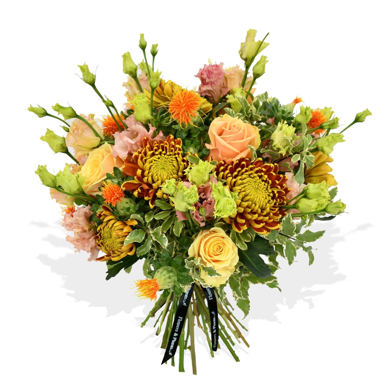 Roses &amp; Lisi - Flowers &amp; Plants Co
