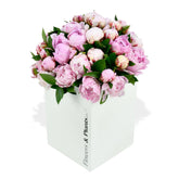 Sarah Bernhardt - Flowers & Plants Co