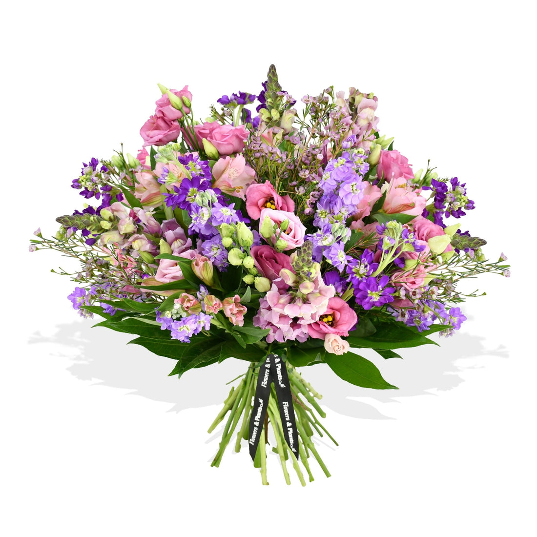 Scented Stocks - Flowers &amp; Plants Co