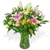 Sorbet - Flowers & Plants Co