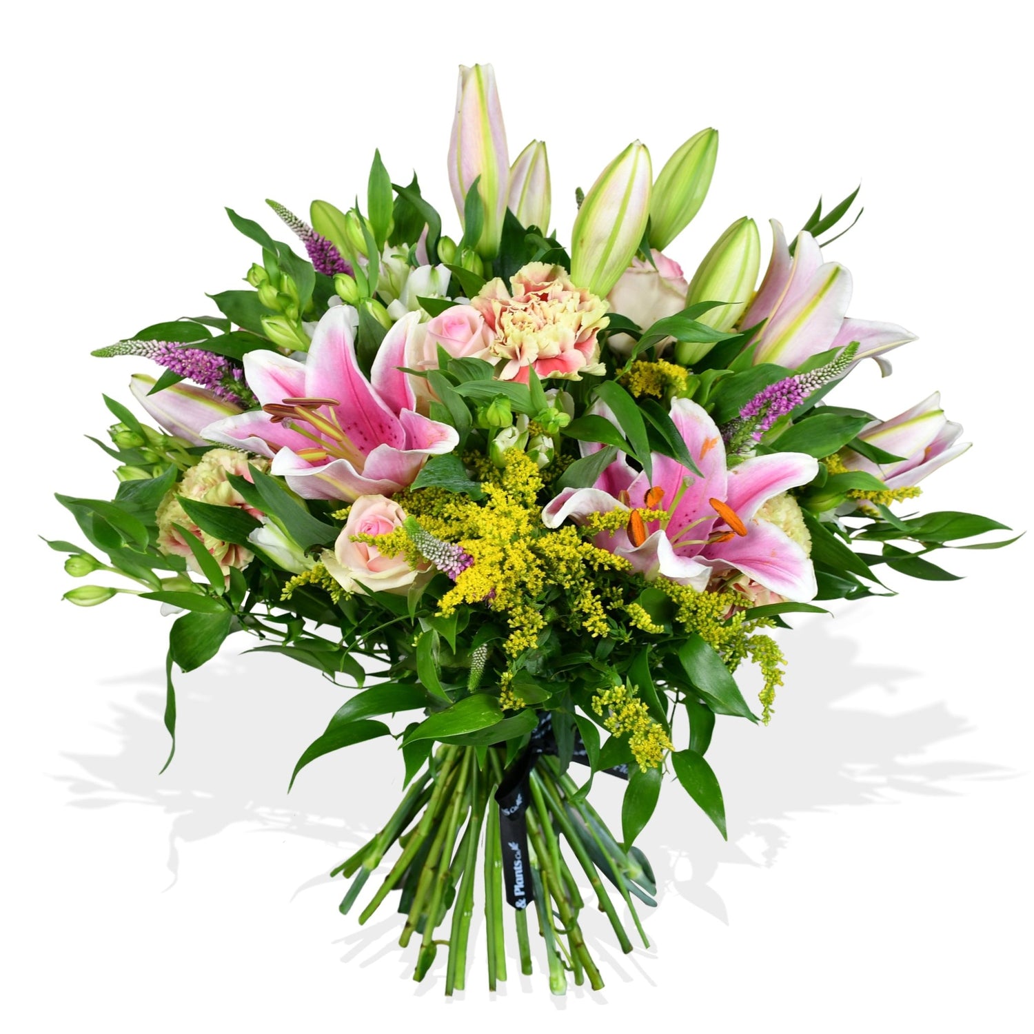 Sorbet - Flowers &amp; Plants Co