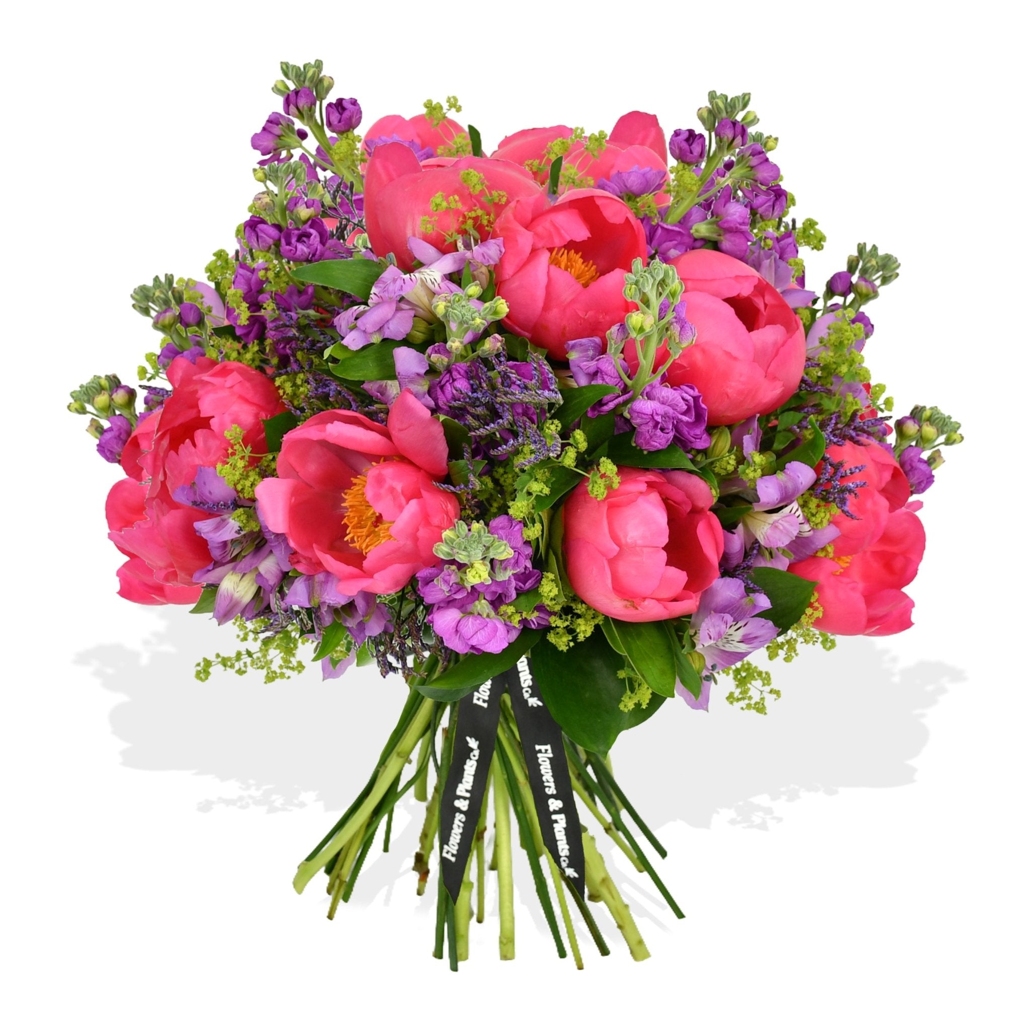 Stocks and Peonies - Flowers &amp; Plants Co